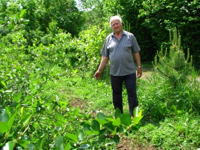Rade Gabrić