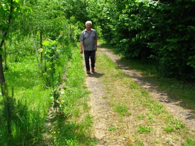 Rade Gabrić