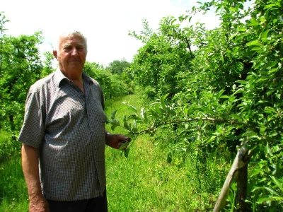 Rade Gabrić