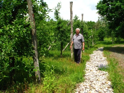 Rade Gabrić