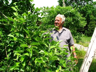 Rade Gabrić