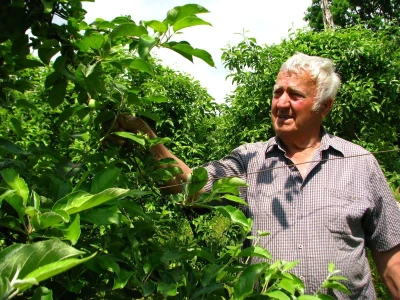 Rade Gabrić