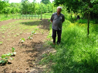 Rade Gabrić