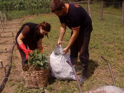 Rade u gradu, a ulažu u selo- zašto se mlade generacije agronoma nakon završenog fakulteta ne vraćaju odmah u ruralne sredine
