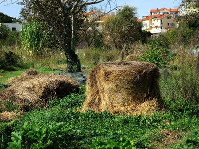 Radionica održivog vrtlarstva - Društveni vrt Gregovica