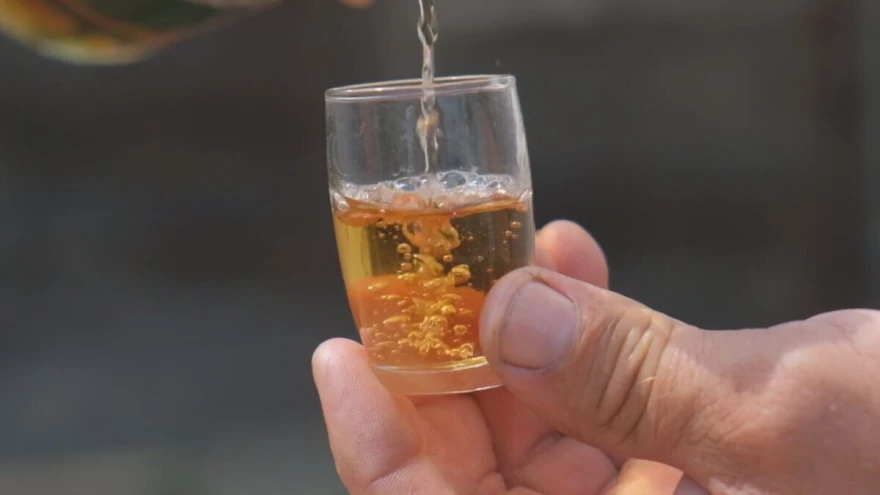 Rakija od &scaron;ljive