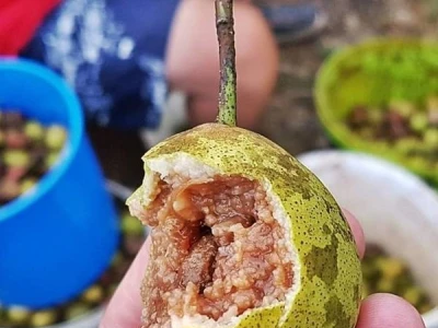 Rakija od kruške crnice