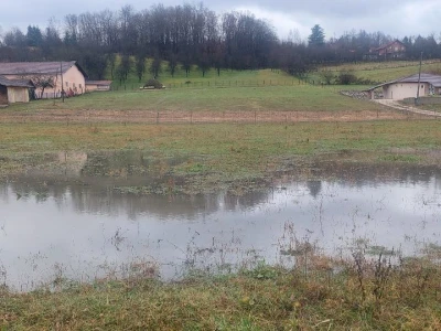 Ranije kretanje vegetacije