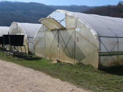 Rasad povrća na 35 dunuma