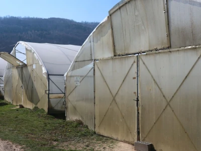 Rasad povrća na 35 dunuma