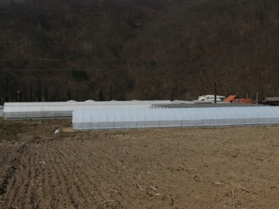Rasad povrća na 35 dunuma