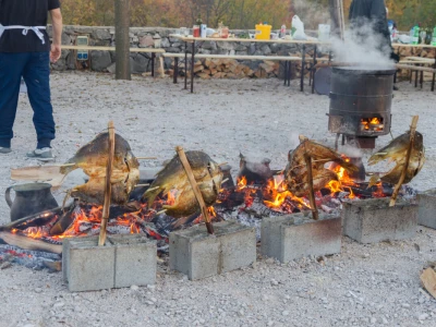 Raštikijada 2019
