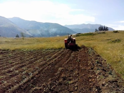 Uzgoj koza u Parku prirode Blidinje