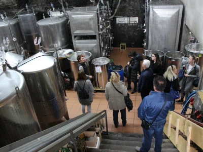 Robert Schätzle, vinarija Schloss Neuweier