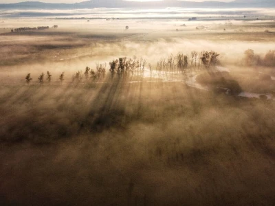 Rural Foto - priroda