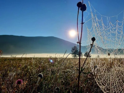 Rural Foto - priroda