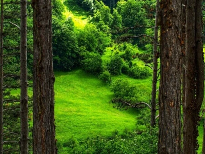 Rural Foto - priroda