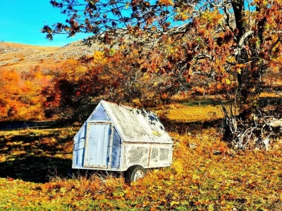 Rural Foto - priroda