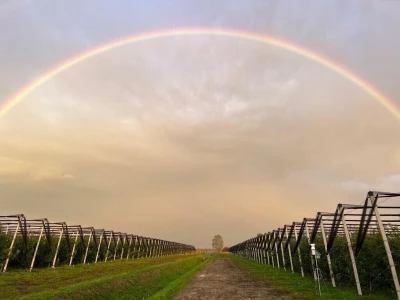 Rural Foto - priroda