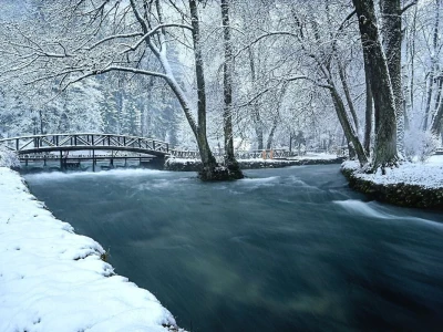 Rural Foto - priroda