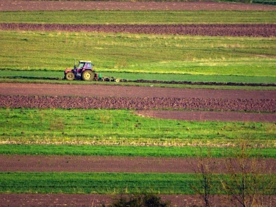 Rural Foto - proizvodnja