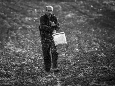 Rural Foto - proizvodnja