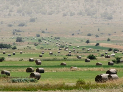 Rural Foto - proizvodnja