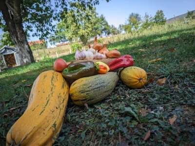 Rural Foto - proizvodnja
