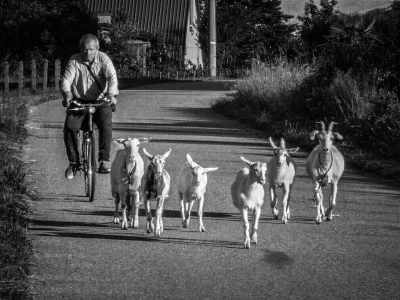 RuralFoto 2026 - Top 40