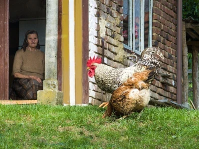 RuralFoto 2026 - Top 40