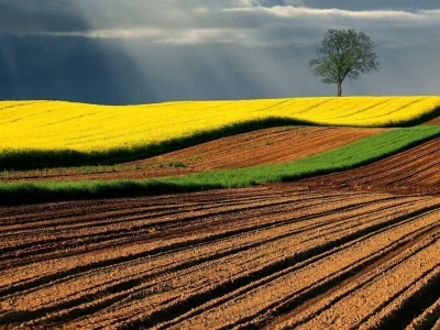 RuralFoto 2026 - Top 40