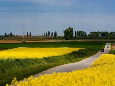 RuralFoto 2026 - Top 40
