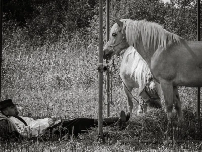 RuralFoto 2026 - Top 40