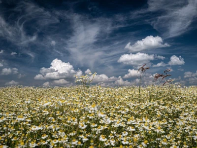 RuralFoto: Najboljih 10 #Priroda