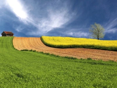 RuralFoto TOP 10 #Priroda