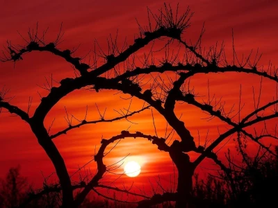 RuralFoto TOP 10 #Priroda
