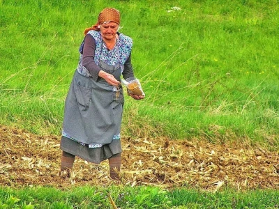 RuralFoto TOP 10 #Proizvodnja