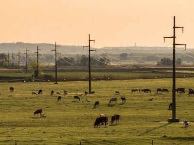 RuralFoto TOP 10 #Selo