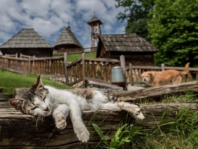 RuralFoto TOP 10 #Selo