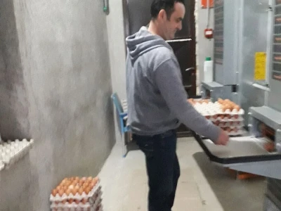 S prijedorske farme na tržište dnevno 6. 000 jaja