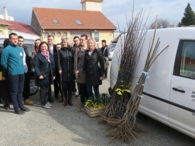 Sačuvajmo stare sorte "Cernik 2019."