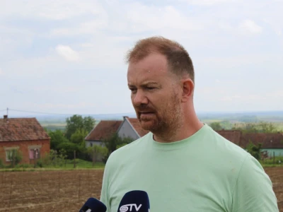 Sadnja 279 sorata vinove loze iz cijelog svijeta