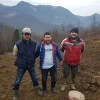 Sadnja šljiva u Šekovićima