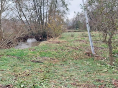 Sadnja voća na terenima koji plave