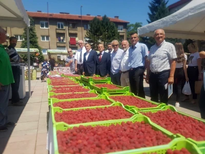 Sajam "Dani maline" u Novom Travniku