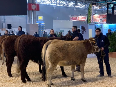 Sajam SIMA sluša priče i snove farmera iz cijele Evrope