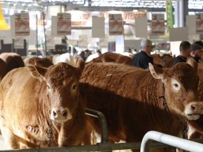 Sajam SIMA sluša priče i snove farmera iz cijele Evrope