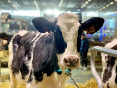 Sajam SIMA sluša priče i snove farmera iz cijele Evrope