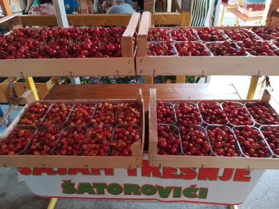 Sajam trešanja - Šatrovići