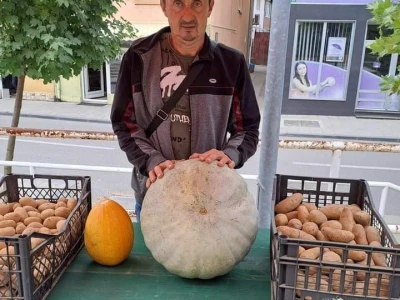 Sajam zdrave hrane